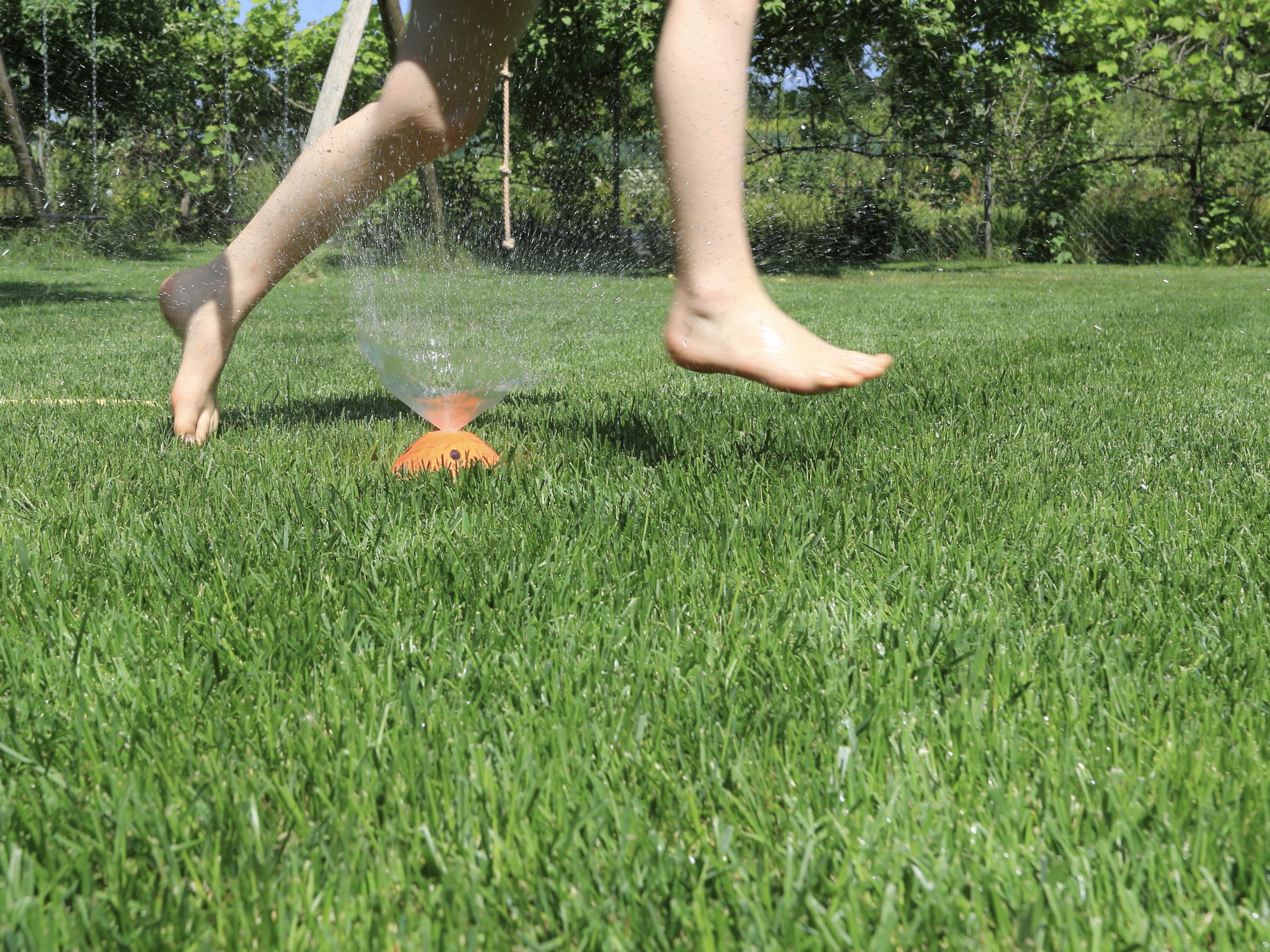 Spiel- und Gebrauchsrasen